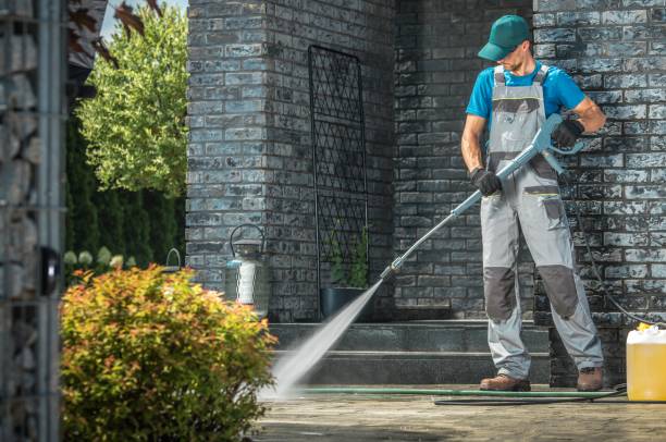 Best Roof Washing  in Shady Spring, WV