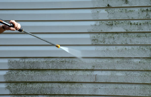 Best Driveway Pressure Washing  in Shady Spring, WV