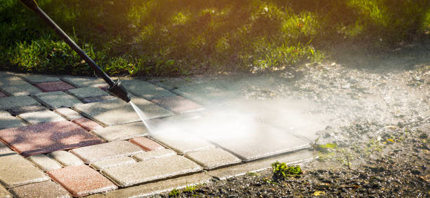 Best Pool Deck Cleaning  in Shady Spring, WV